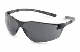 Gafas de seguridad Ellipse grises